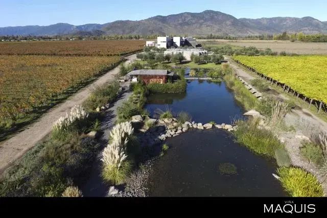 Wines|Wines of Chile明星阵容亮相Wine to Asia 2021,呈现智利魅力!