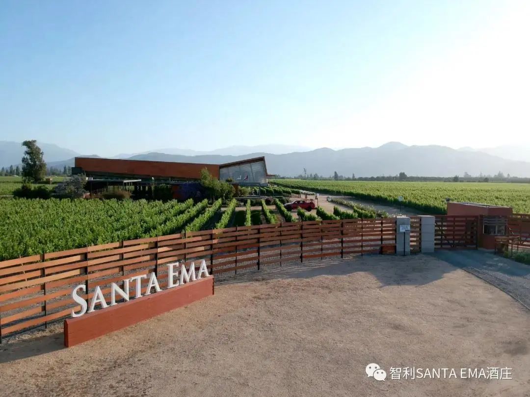 Wines|Wines of Chile明星阵容亮相Wine to Asia 2021,呈现智利魅力!