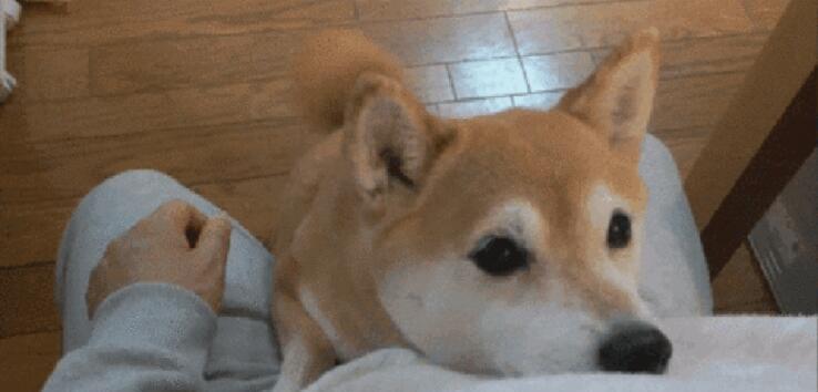 eeefb6e02bce48eb8374ac849b4ce245.jpeg