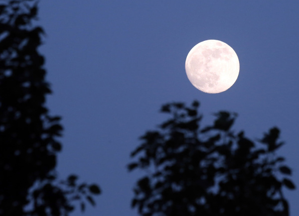 就在今晚 月全食 超级月亮组团亮相 夜空