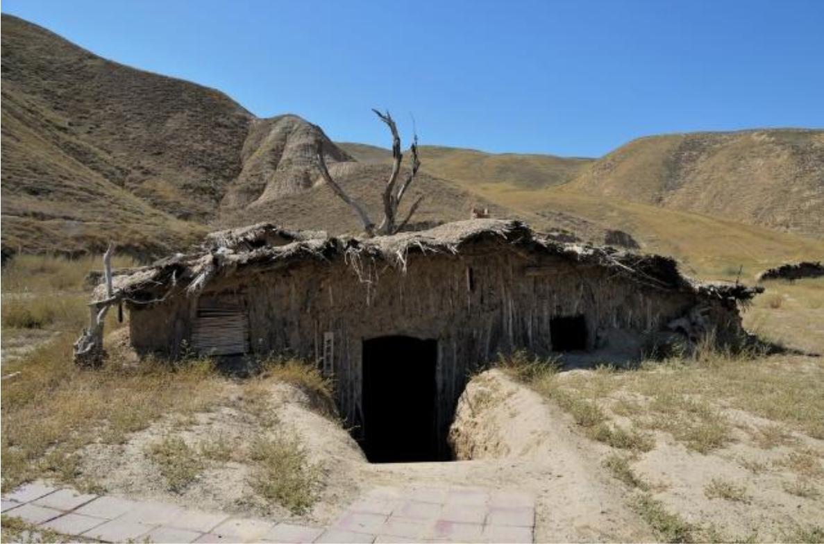 献身塞上江南——心中的那片胡杨林_军垦农场