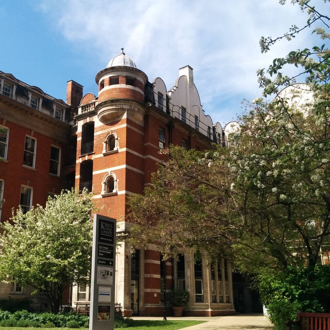 kcl伦敦大学国王学院校区,院系及热门专业介绍_盖伊