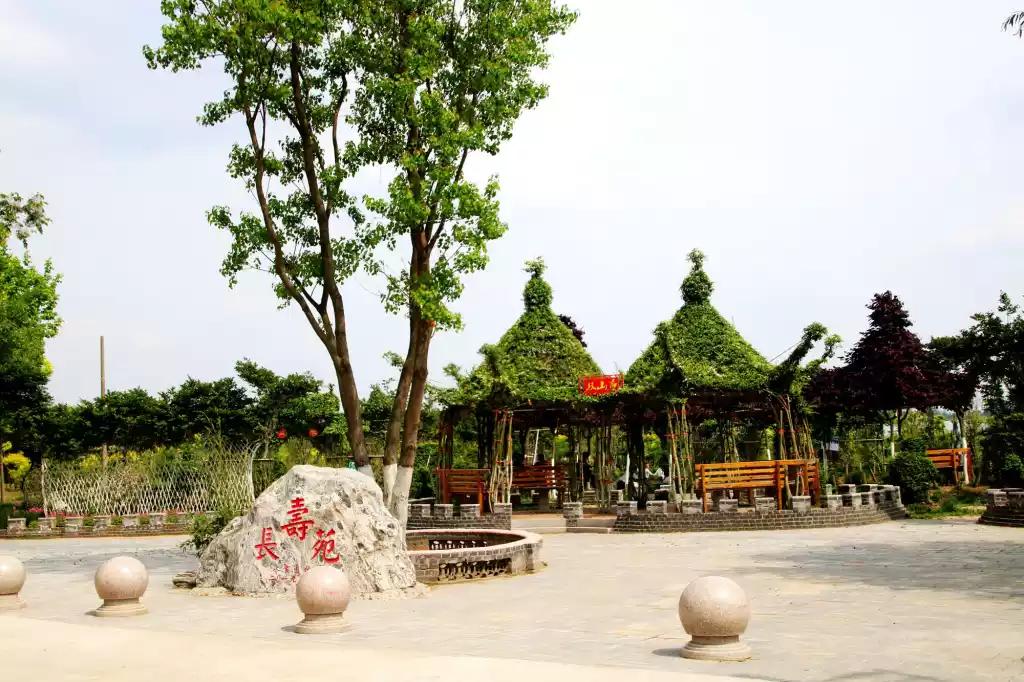 夏邑农民花间富乡村林中兴