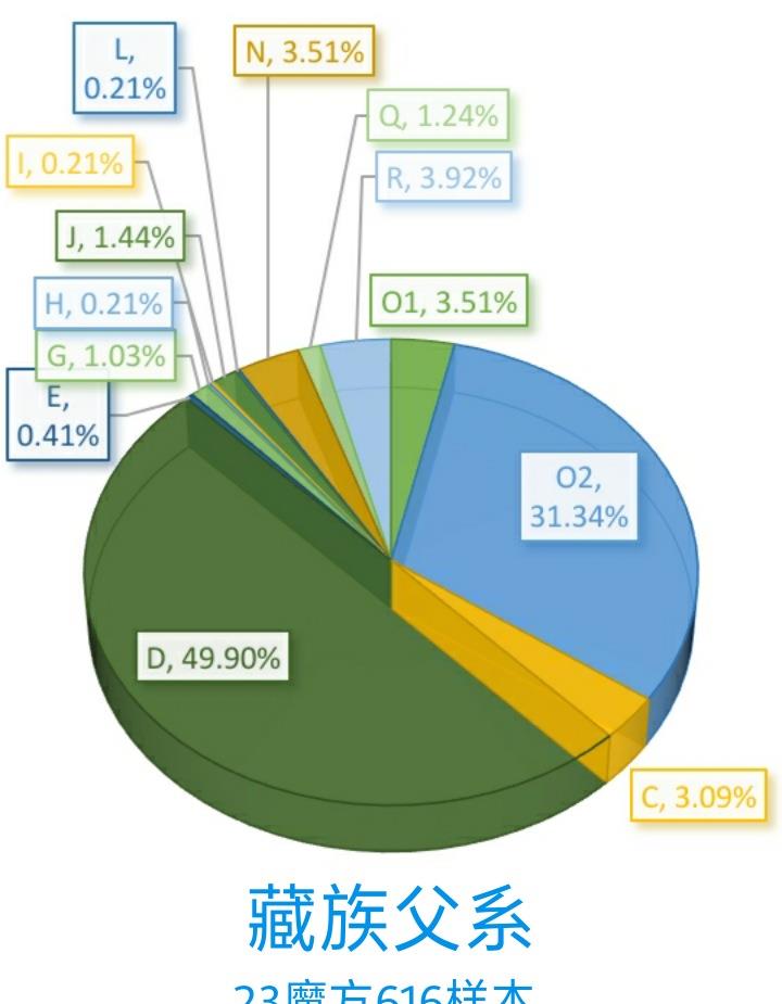 少数民族补贴包含在gdp_重庆GDP反超广州,是好事