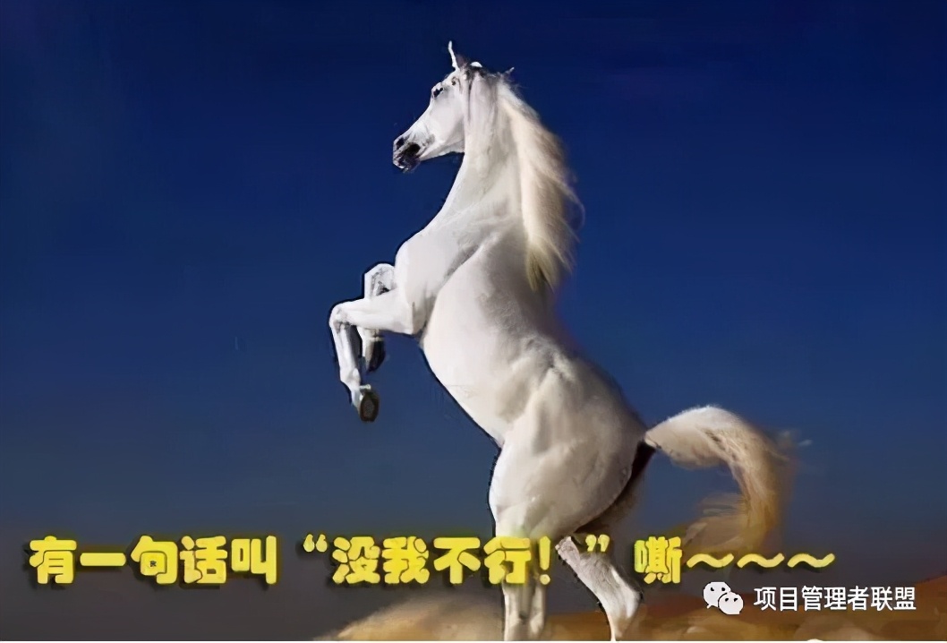 d4dc8862cad848d7afd437d97ca50336.jpeg