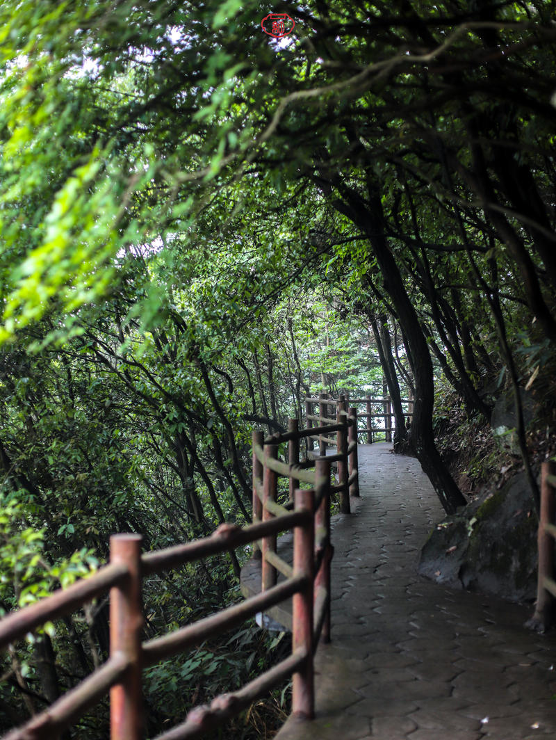 靈溪山,這裡危峰聳立,古樹參天,高山流水,意境悠遠,主峰凌霄峰海拔