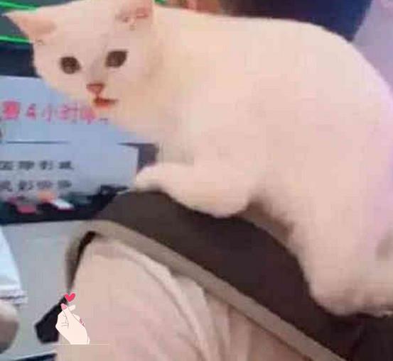 db0e4de5657d49c2b8ebccaeb984421c.jpeg