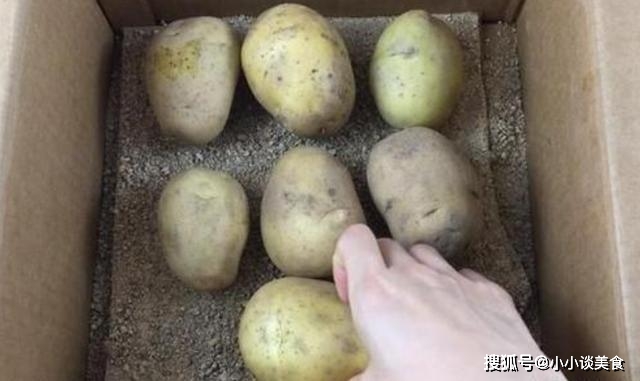 土豆多了怎么办