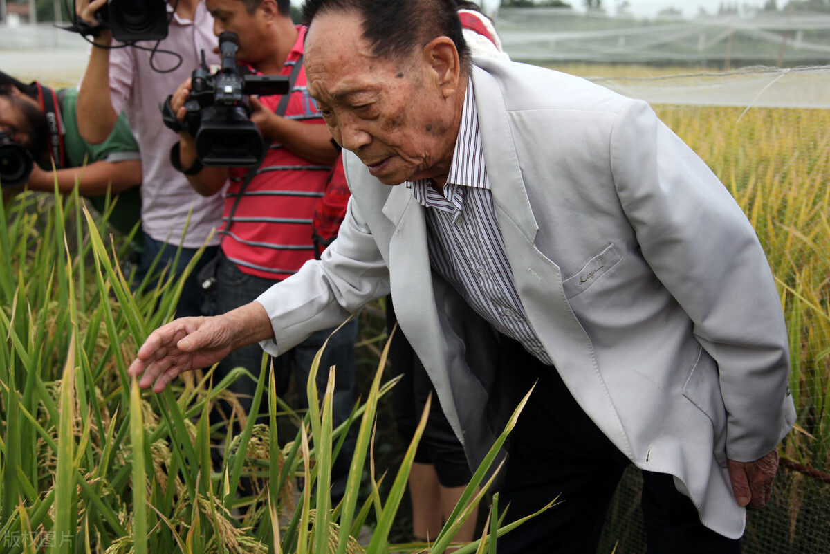 悼念“水稻之父”袁隆平院士（外一首）