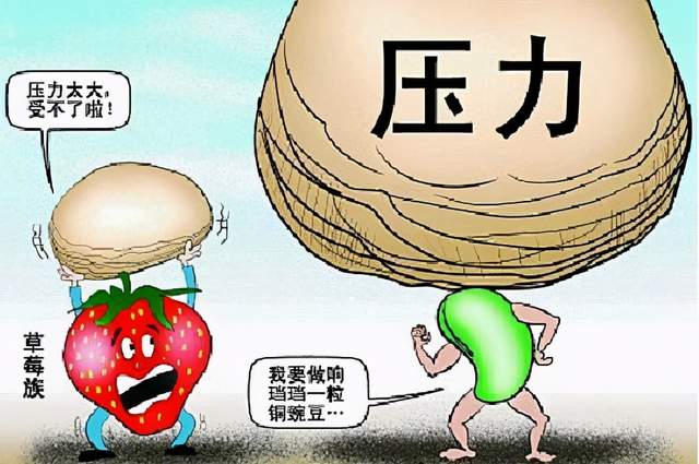 梦境启示，鸡蛋缺失的隐喻与职场诚信的反思