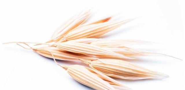 什么才是真正的好燕麦 d8002008cf9a49a791d58f7df75c3332.jpeg