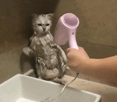 e53ac67a660b47079cf7ca6a1ff2bbc6.gif