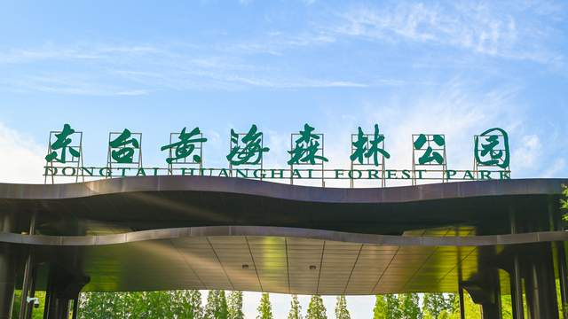 盐城黄海国家森林公园植被覆盖率超过80堪称人工绿肺