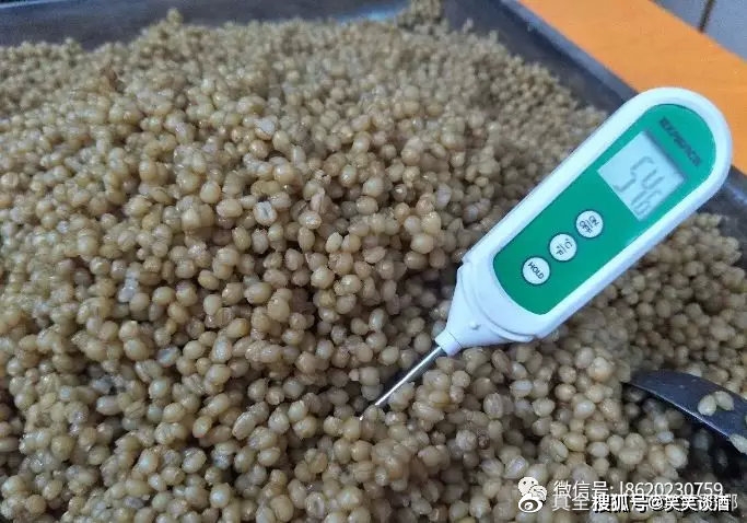 小麦怎么酿酒最好 5425757931894afbb96496d86a078c2f.jpeg