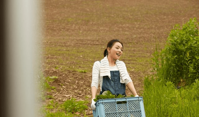 壬子日柱运势解析 钱财