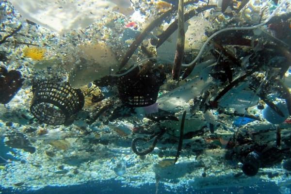 石油,重金属,农药,生活污水等等,每年有数不尽的海洋污染物被人类有意