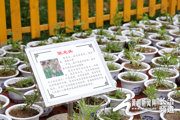 图为:中药植物药园图为:长治市中医研究所附属医院为潞州区下南街小学