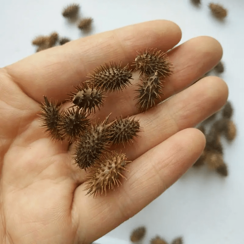 六一你怎么让我这么怀念看完满满的记忆