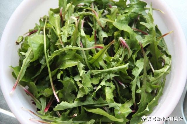 婆婆丁野菜可以生吃吗 d575c59d77334ea9bef8004327ea5800.jpeg