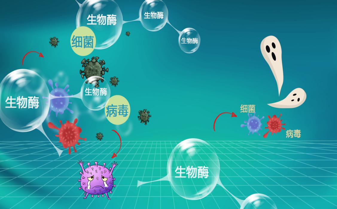 生物酶成选购宠物除臭产品的重要考虑因素