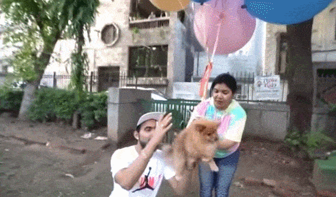 印度网红给狗子身上绑气球，想让它飞天…被警察抓了
