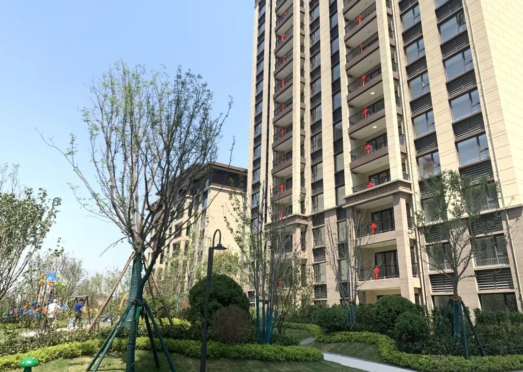 蒲城碧桂园·翡翠华府 | 一批次盛大交付 榜样生活自此启幕