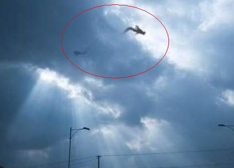 原创日本瑞龙寺的"龙"标本是真是假?简直讽刺现代科学