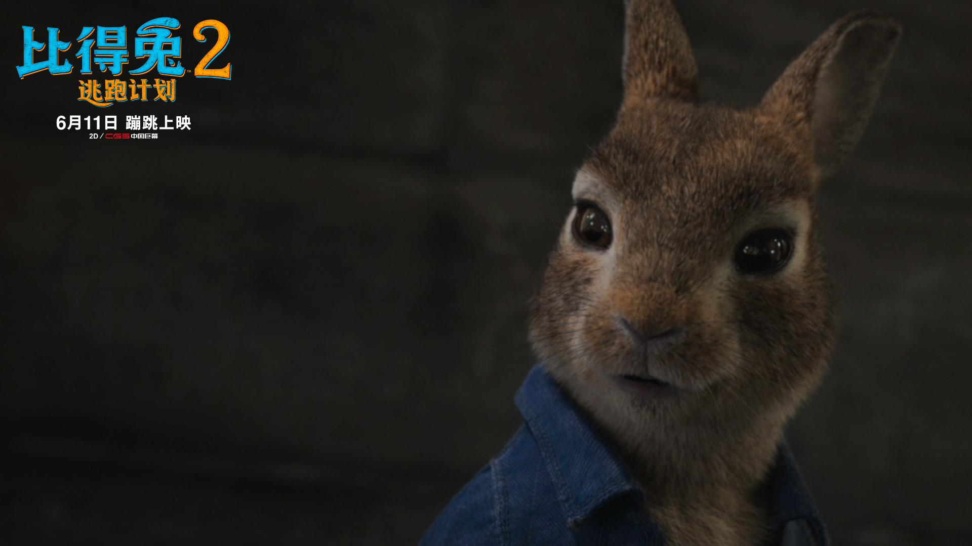 《比得兔2：逃跑计划》反派巴拿巴登场 萌兔天团集结搞事