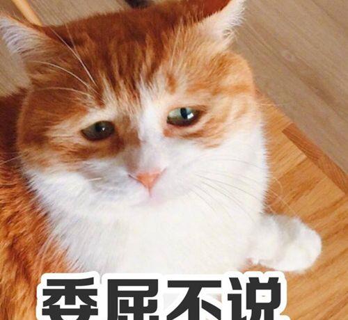 214b783ff3d8454eab0570d25b0bcade.jpeg