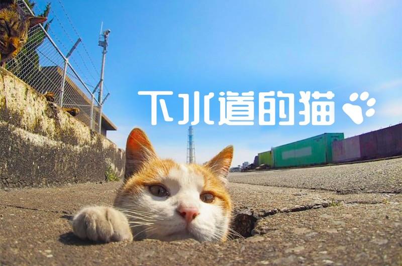 73e55a7e7c8a4846a6487a3ea9a34906.jpeg