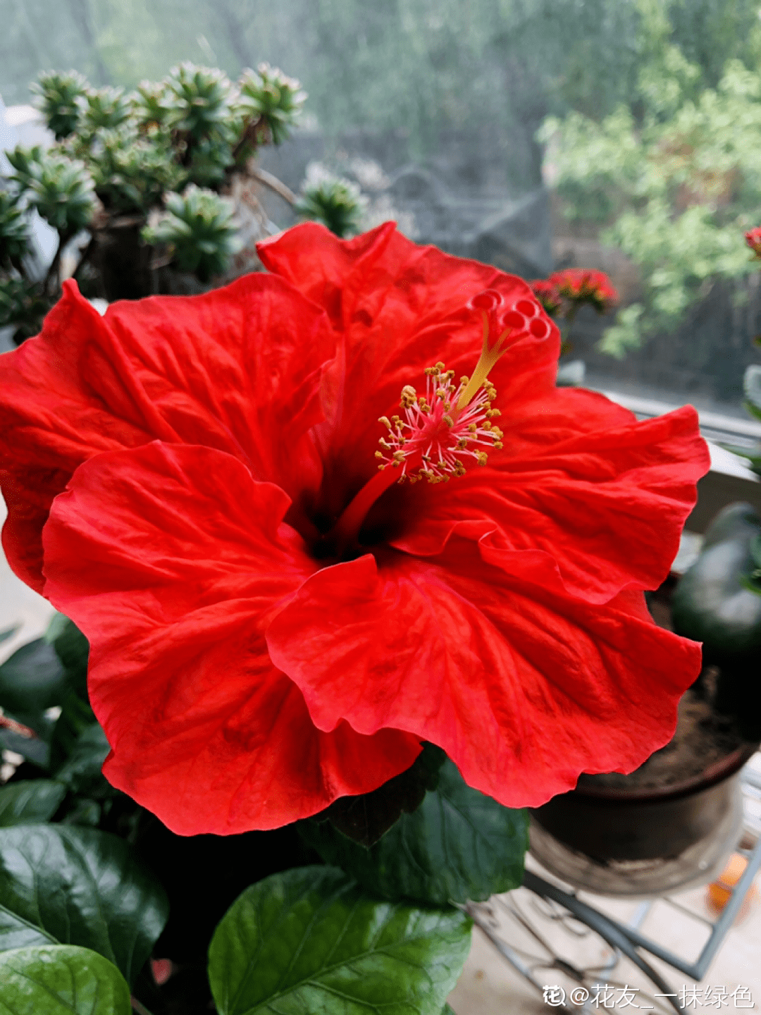 a3969a79ad344770a04437ec5aae502a.png
