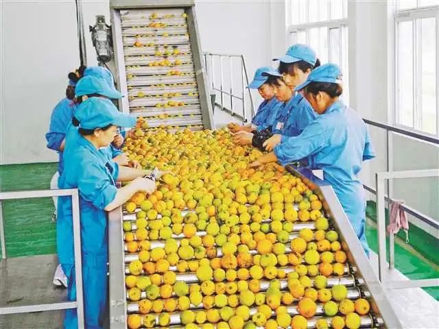 发达国家有什么政策 c05c7471d33c492c84bd3e66b79112dc.jpeg