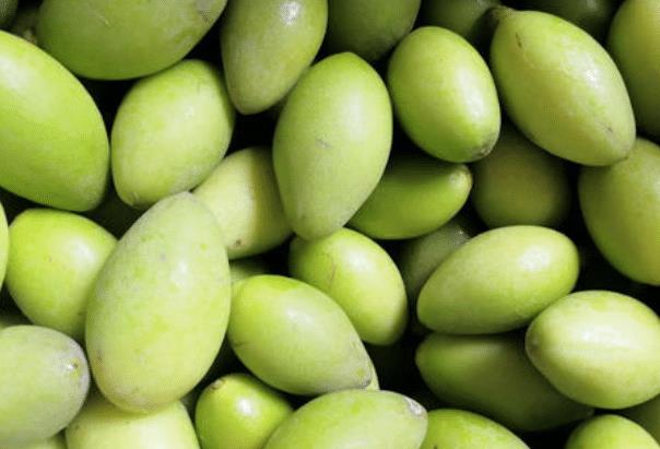 12月成熟的水果,维c是苹果10倍,10元1斤很抢手,北方很少人吃过_橄榄