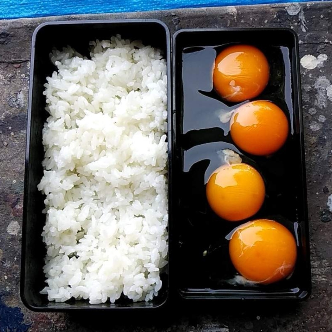 原创日本网友分享懒人便当4个鸡蛋打下去便当完成