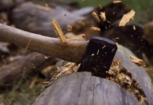 活木不喜金,主要指的是地支的金,金坏木根则不喜.