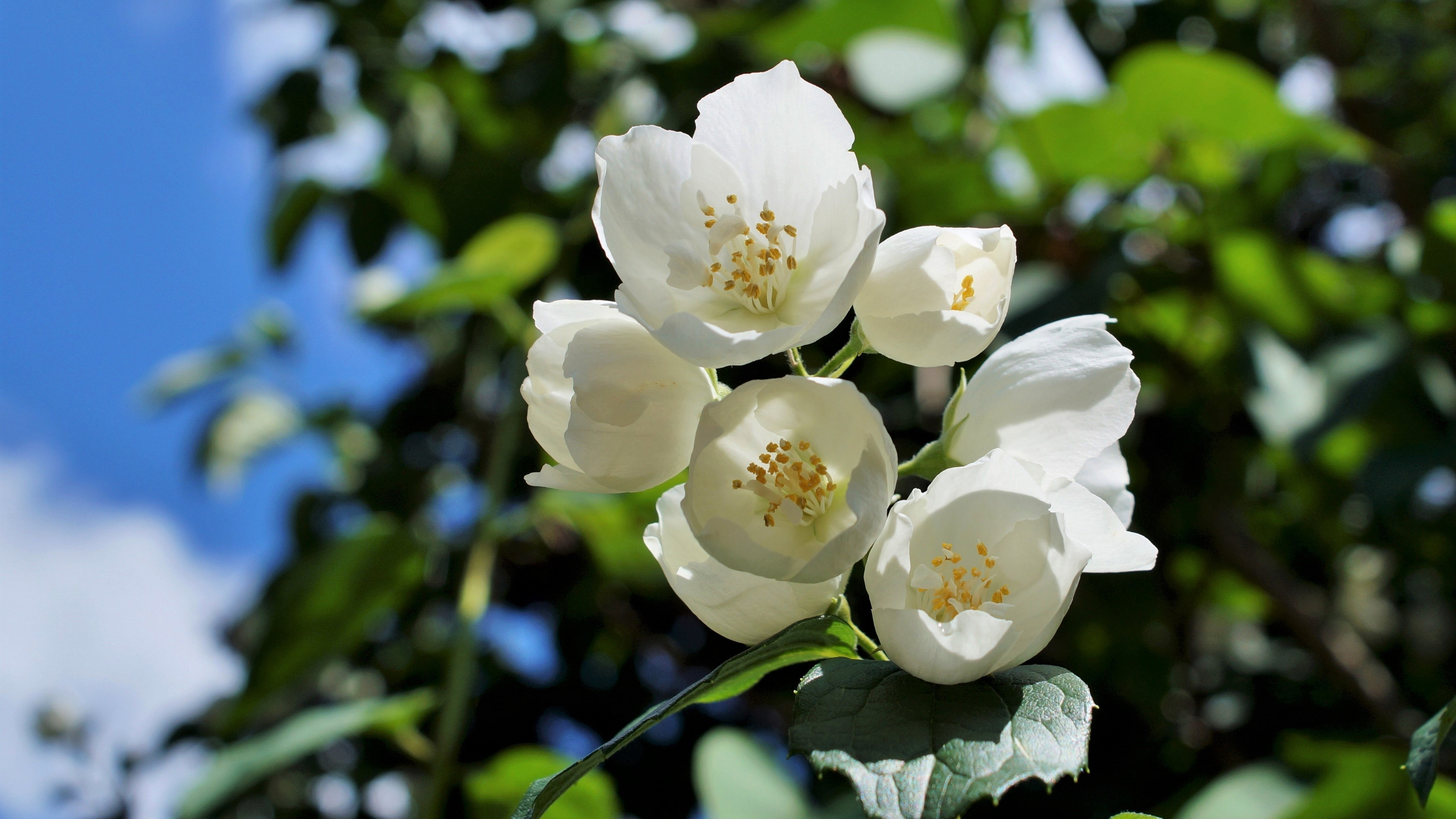 6月7日 13日星座运势 巨蟹座思虑周全 双鱼座谨言慎行 感情