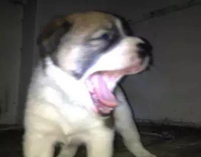 a2a66e61c87c4a0ea7b92e96bcfb3c93.jpeg