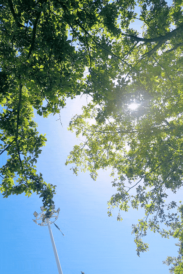205d7d66003746d2a2bcec7f4606f297.gif