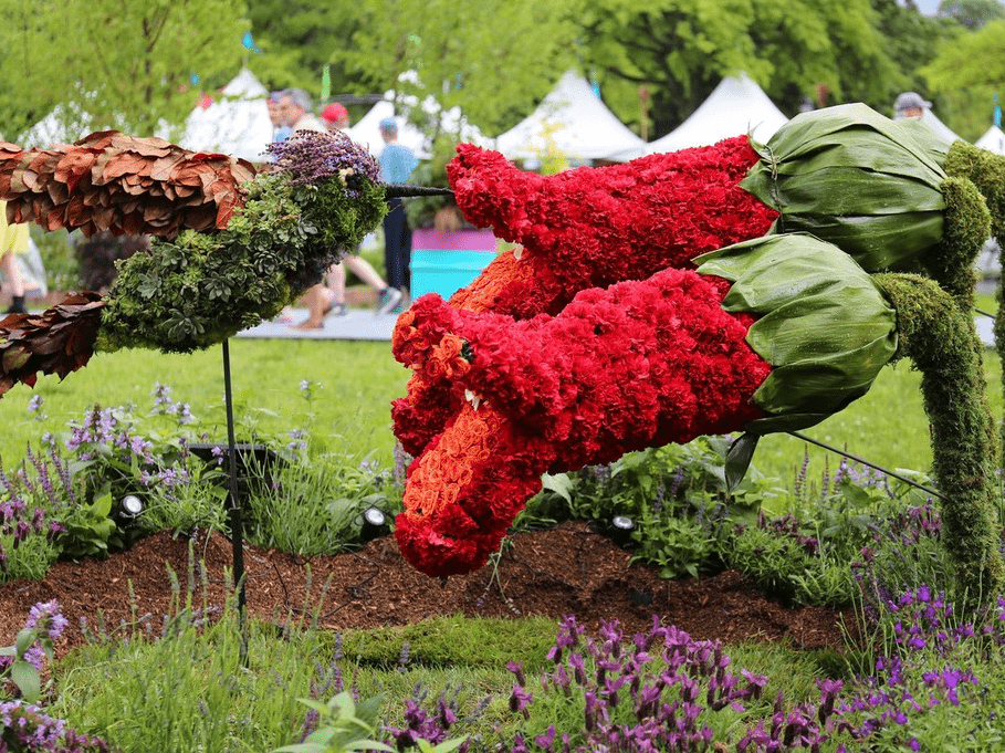 被誉为是美国最大,历史最悠久的花卉园艺展览会——费城花展在罗斯福