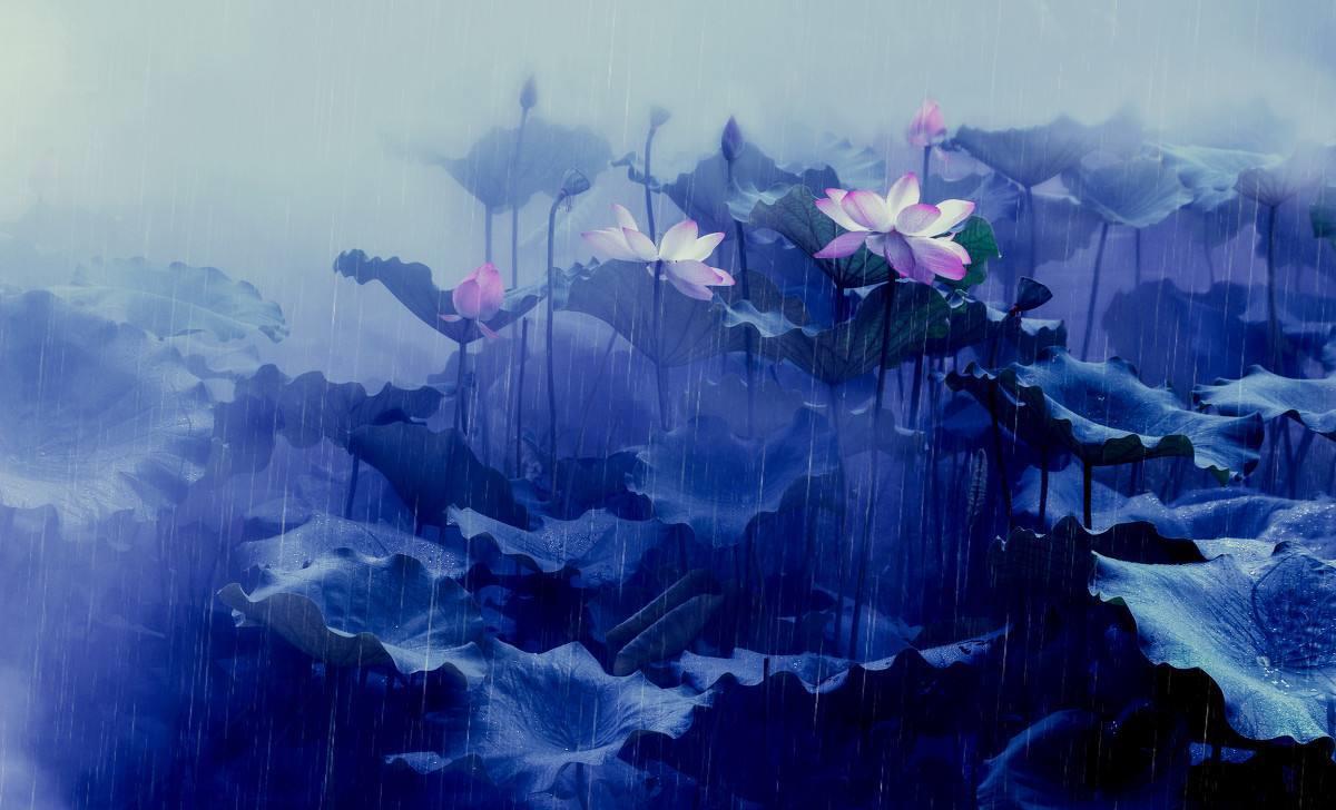 原创宋词里最著名的三场雨每一场都令人感动尤其最后一场更是伤感