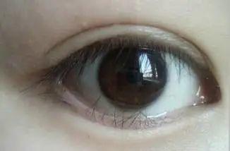 bf9f751ce32c4174b3cacda497d13990.jpeg