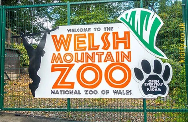 和其他动物园不太一样的是, 参观welsh mountain zoo是需要一定体力的