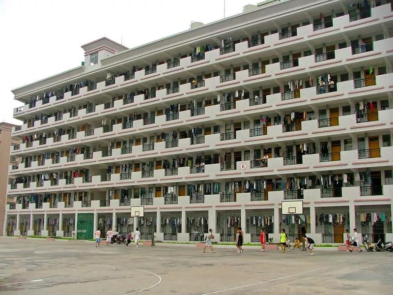 新鲜看公办院校宿舍大合集快来看看你即将入住的宿舍长啥样
