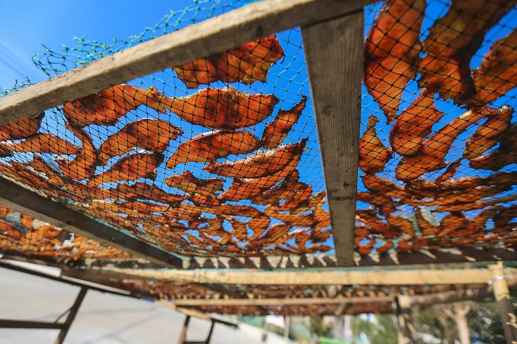 四时鲜美 晾晒的鱼鲞和腊肠 冬季腌制的雪里蕻 烟雨中的咸齑(jī)新笋