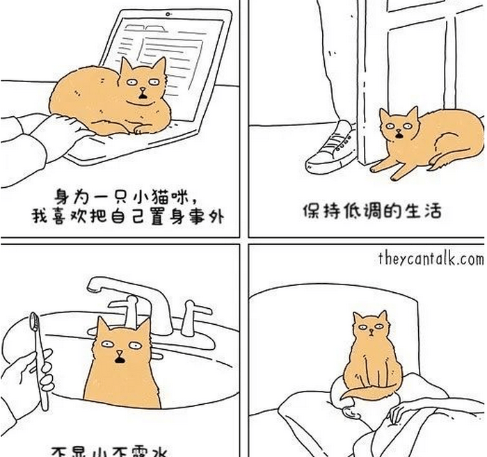 b801898998b7492f9c44940f050ecf5e.png