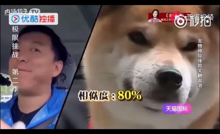 66515a5d362e4e1fb874c3ecef156ced.jpeg