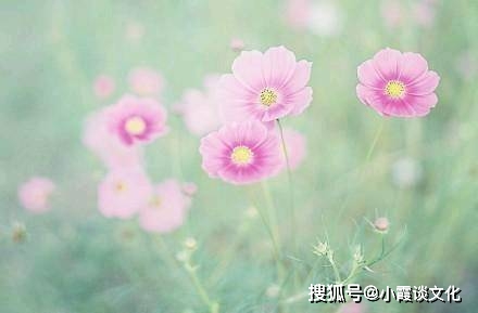 人生感悟的句子路在脚下 892e8dc410fe4954ae1e3f9775473b96.jpeg
