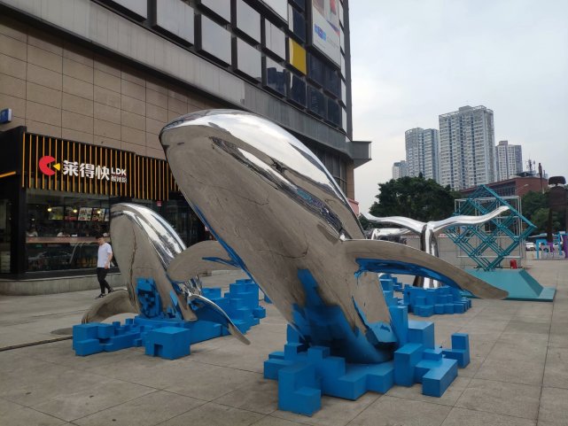 原创重庆街头现"海豚戏水"雕塑,造型憨态可掬惹人爱