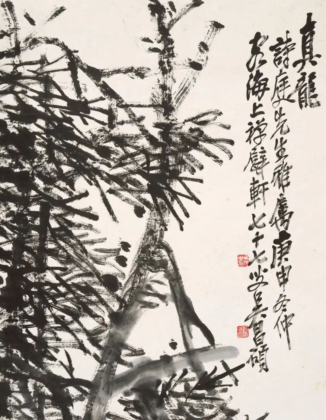 吴昌硕晚年佳作真龙徐渭笔意写虬松