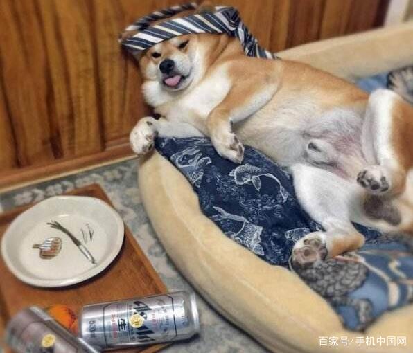 ae09f0f7a66240dd8c801d2afdc4d8de.jpeg